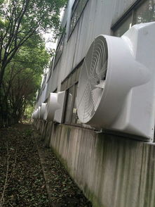 扬州车间降温与泰州厂房通风排烟设备一体化解决方案